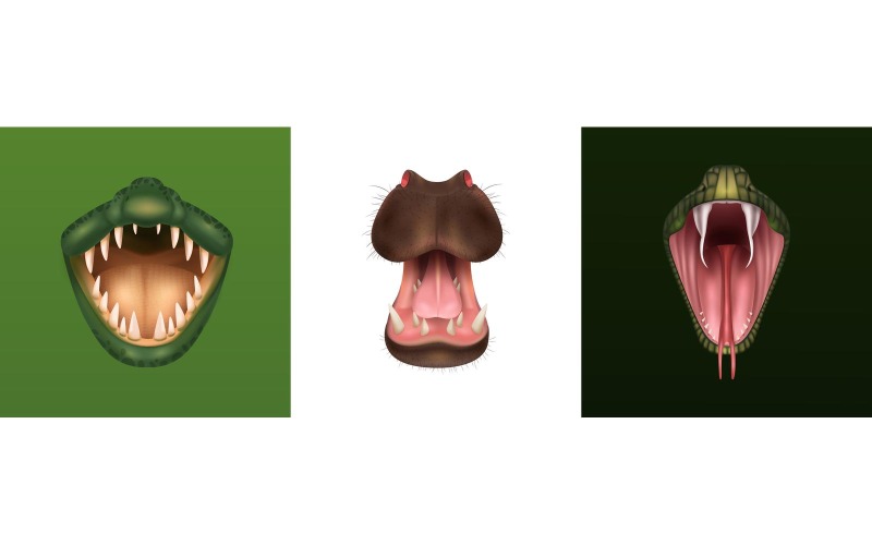 Concepto de diseño de boca abierta animal realista concepto de ilustración vectorial