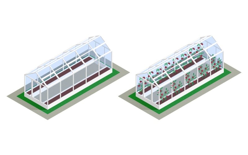 Concepto de ilustración de vector de conjunto de cultivo de invernadero isométrico