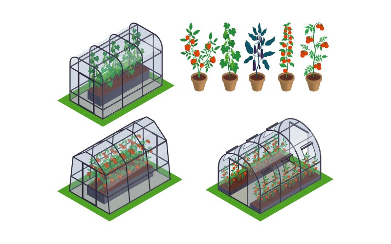 Isometriska växthusgrönsaker som vektorillustrationskoncept