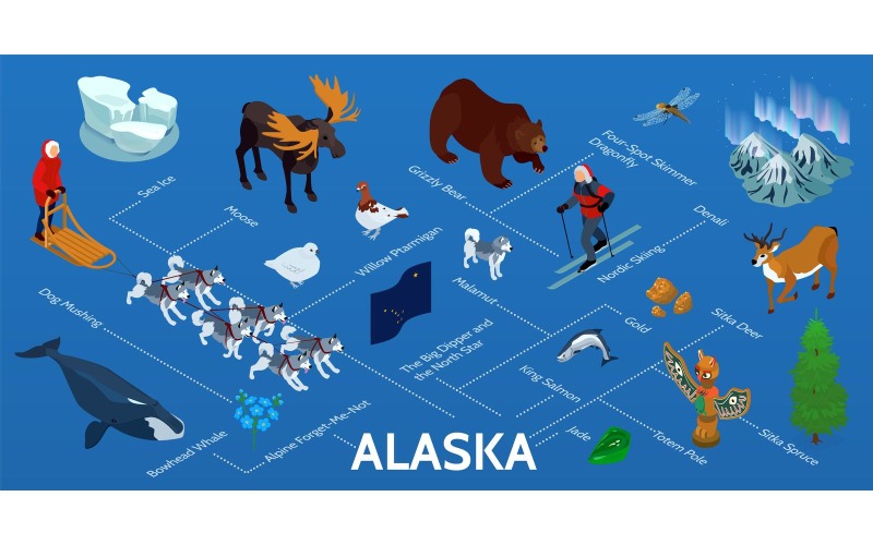 Concetto isometrico dell'illustrazione di vettore di Infographics dell'Alaska