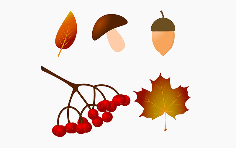 Insieme di autunno di vettore, fungo, foglie, ghianda, ramo di bacche selvatiche