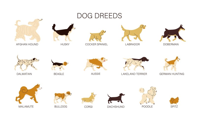 Породи собак встановити Векторні ілюстрації концепції