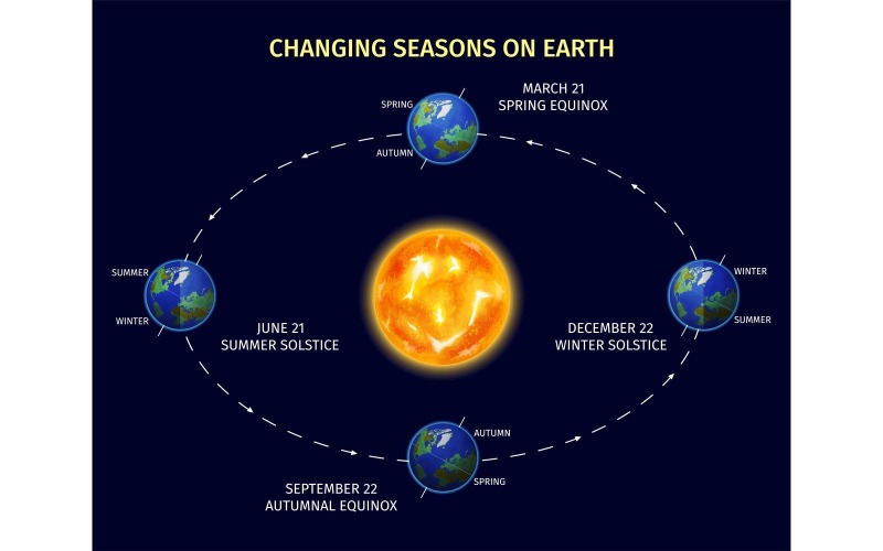 Concept d'illustration vectorielle de saisons de la terre