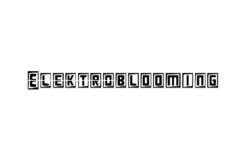 Elektroblooming 装饰字体