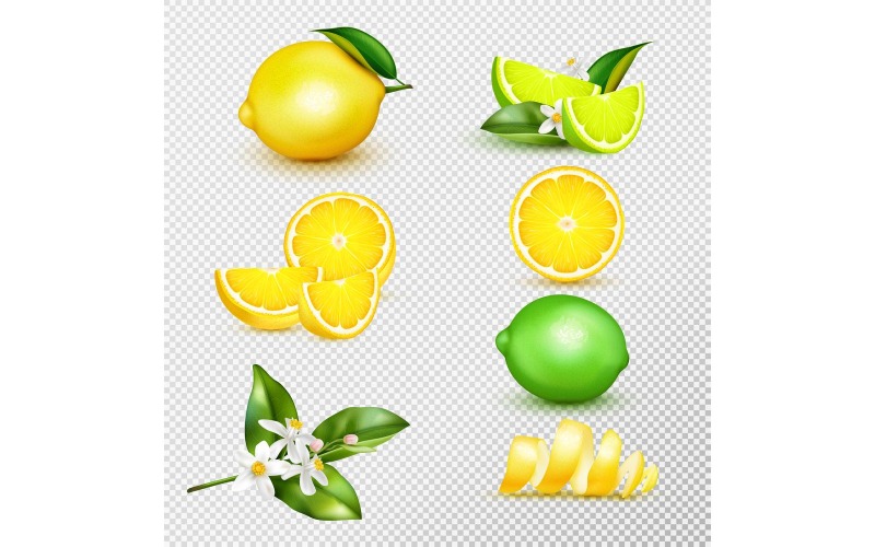 Concepto de ilustración de vector transparente realista de limón verde