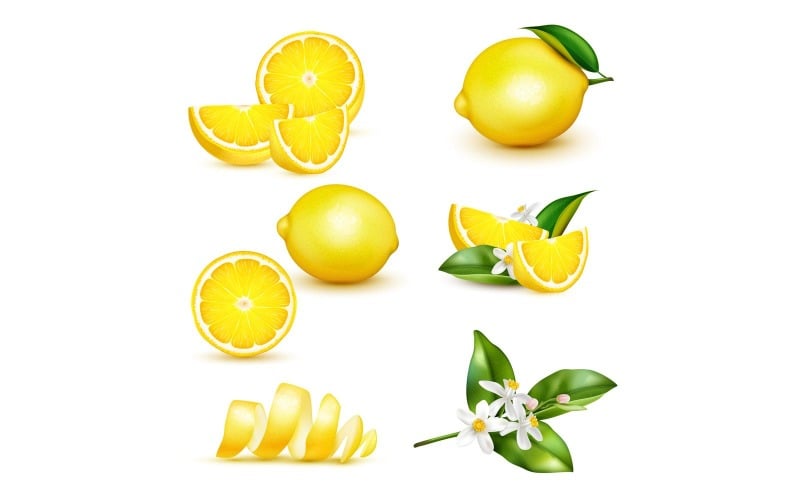 Lemon Realistic Set Vector Illustration Concept