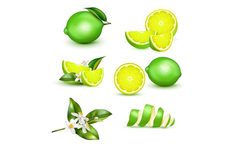 Concepto de ilustración de Vector de conjunto realista de limón verde