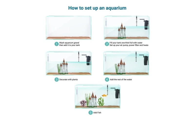L'attrezzatura dell'acquario ha installato l'illustrazione realistica di vettore di Infographics Concept