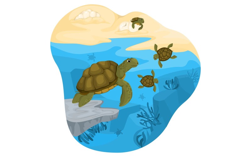 Turtle Life Cycle Illustration Vector Illustration Concept