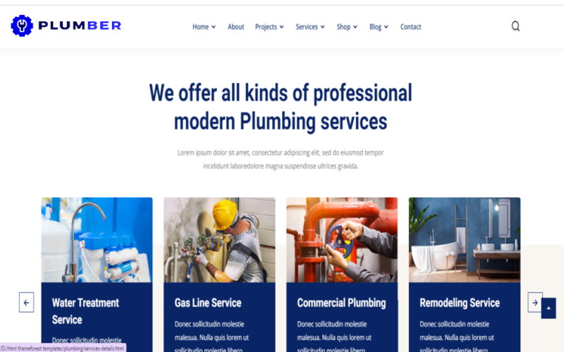 Plumbing Services HTML Template