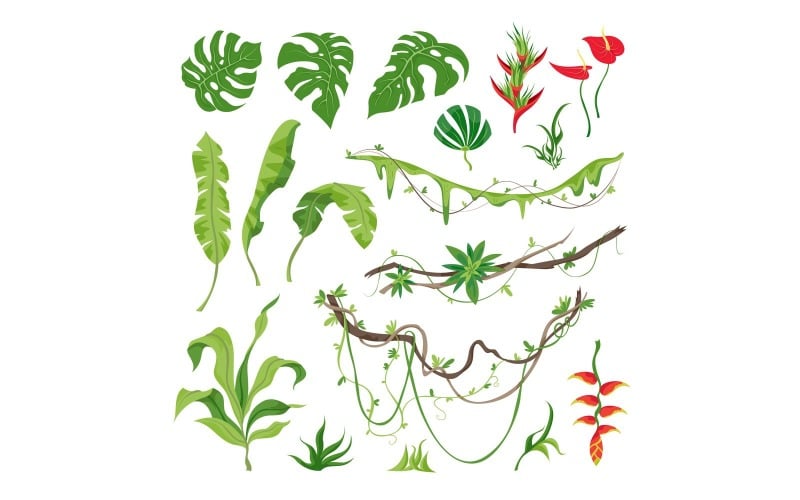 Jungle Plants Set 210351808 Vector Illustration Concept