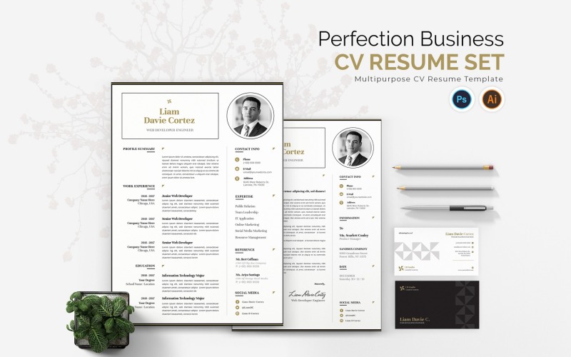 Perfection Business CV Özgeçmiş Seti