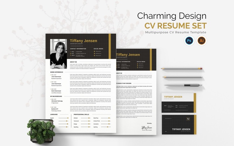 Set di curriculum CV di design affascinante