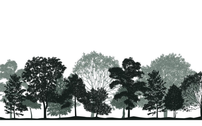 Silhouette d'arbre réaliste-01 210130507 Concept d'illustration vectorielle