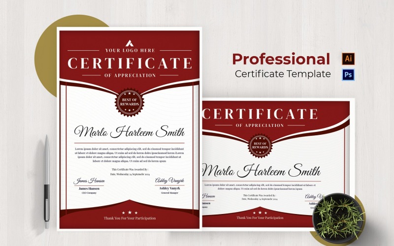 Certificado Profissional Moderno