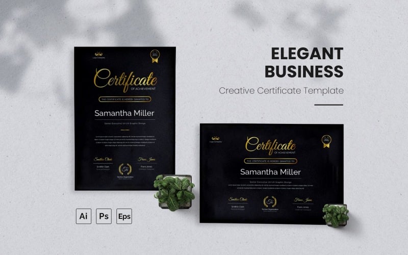Елегантний бізнес сертифікат