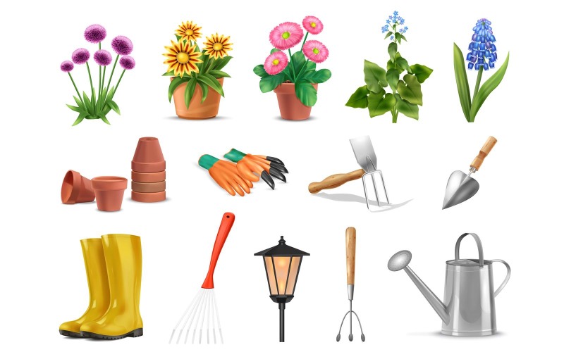 Valósághű kerti virágok, növények, eszközök készlet-01 201230531 vektoros illusztráció koncepció