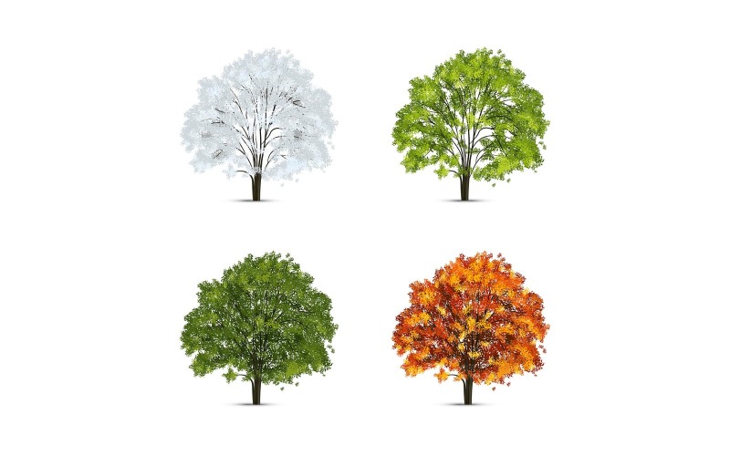Conjunto de temporada de árbol realista 210130508 Concepto de ilustración vectorial