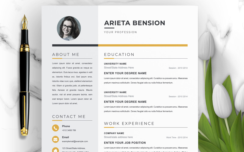 Arieta Bension / Professional Resume Template