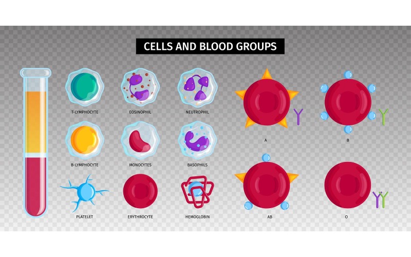 Bloedcellen Hemoglobine Set 201250404 Vector Illustratie Concept