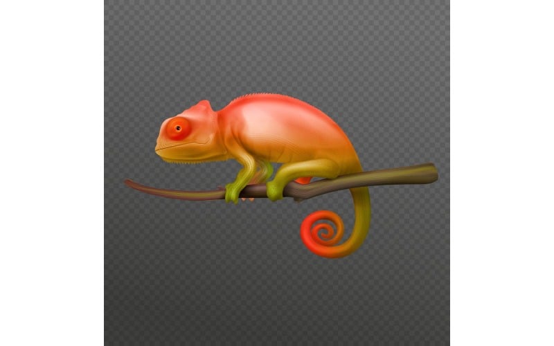 Chameleon Realistic Transparent 201021121 Vector Illustration Concept