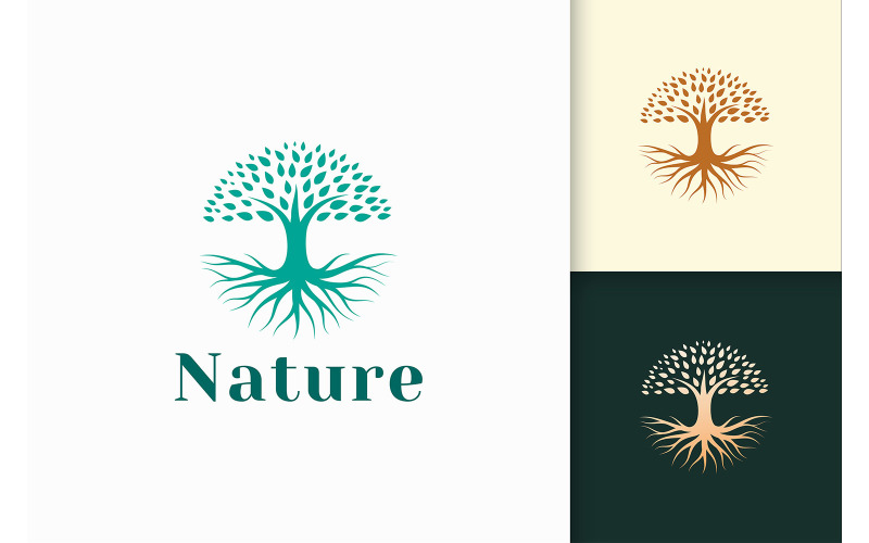 Árvore do círculo ou logotipo da planta com raiz