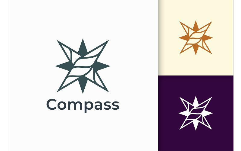 Compass Logo Travel or Journey