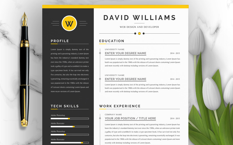 David Williams / Modello di CV