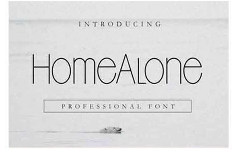 Carattere Home Alone - Carattere Home Alone