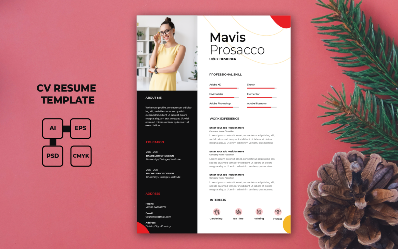 Mavis-Professional CV 简历模板