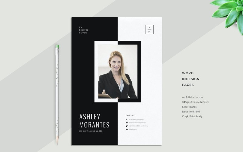 Resume Ashley Printable Template