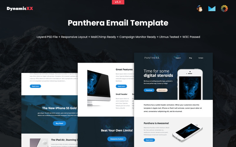 Modello newsletter Panthera + MailChimp + Monitor campagna pronto
