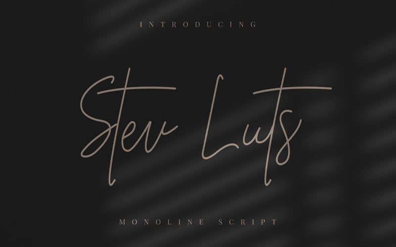 Stev Luts – Monoline Script Fonts