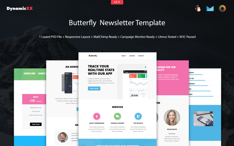 Modello newsletter Butterfly + Mailchimp + Compaign Monitor pronto