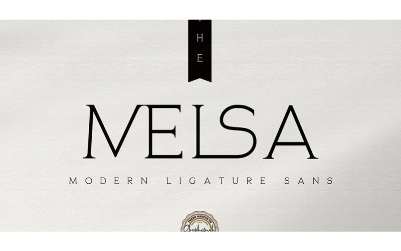The Melsa Modern Ligature Sans Font - The Melsa Modern Ligature Sans Font
