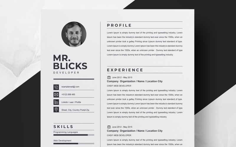 Sr. Blicks / Modelo de Currículo Limpo
