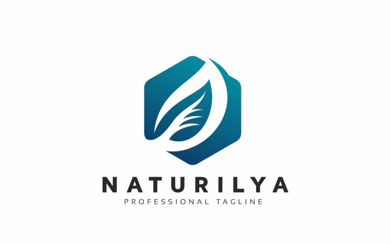 Nature Leaf Hexagon Logo Template