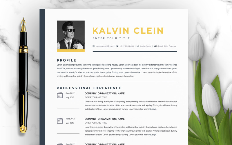 Kalvin Clein / szablon CV