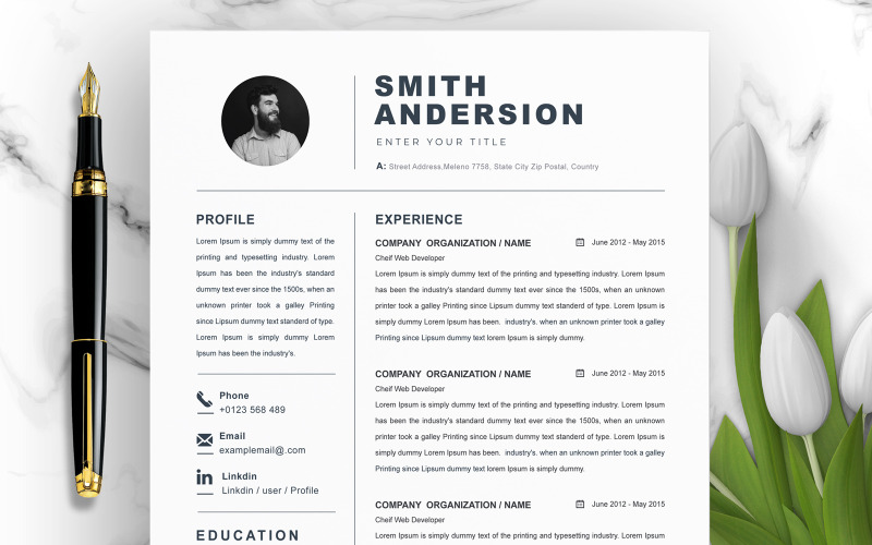 Smith Anderson / Modèle de CV professionnel