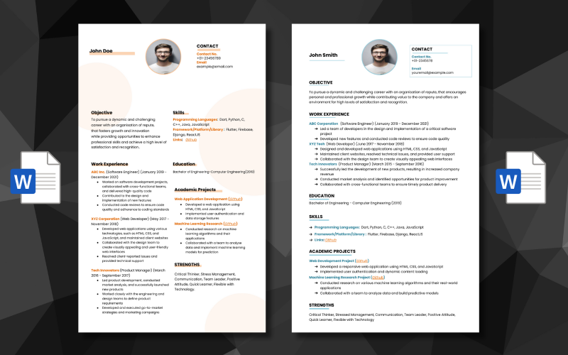 2 Professional IT Resume Templates