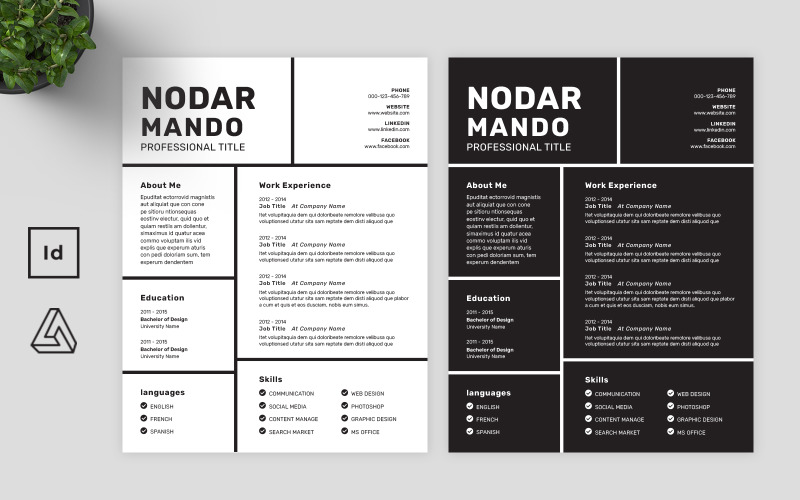Profesyonel Özgeçmiş Şablonu Adobe InDesign - Affinity Publisher