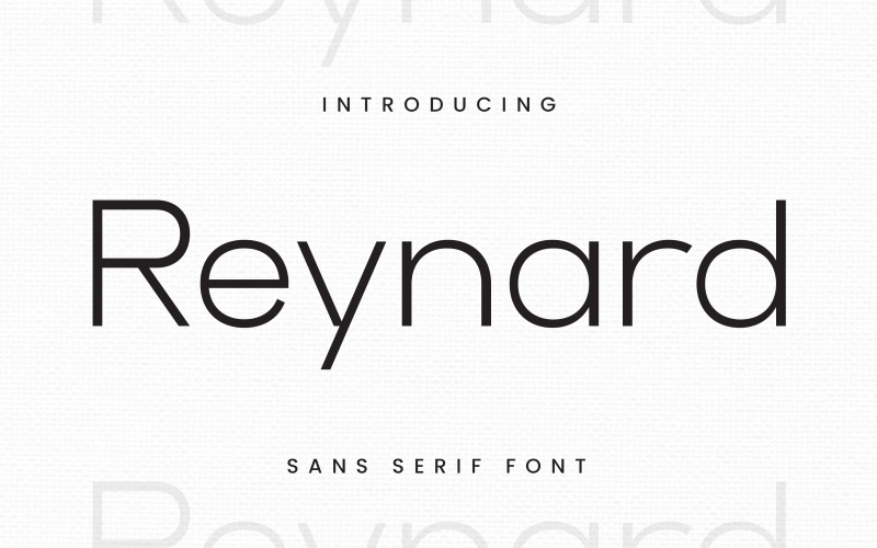 Reynard - Police Sans Serif