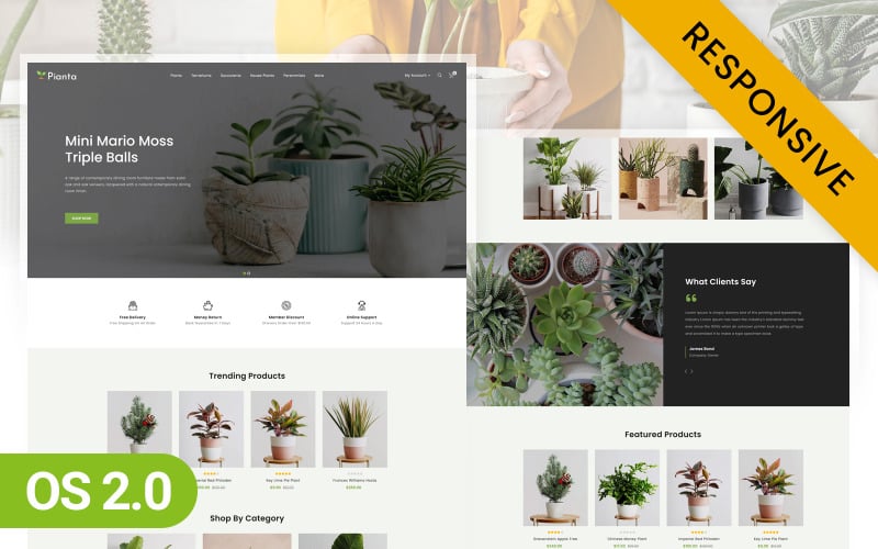 Pianta- Nursery Potted Plant Store Shopify 2.0 Theme