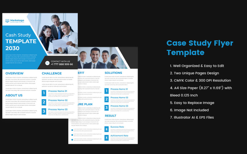 Business Case Study Flyer Template Design - TemplateMonster