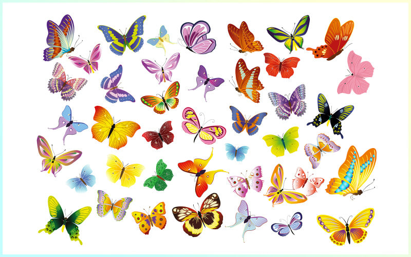Colección de mariposas, vectores de mariposas gratis