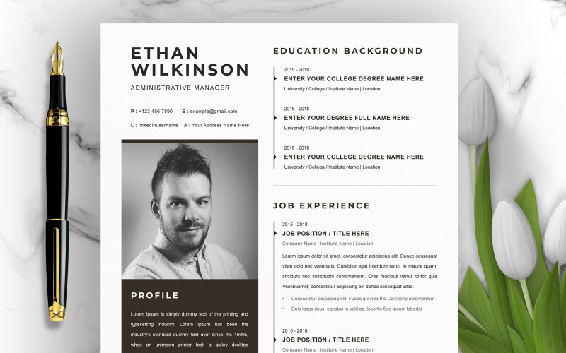 Ethan / Modèle de CV professionnel