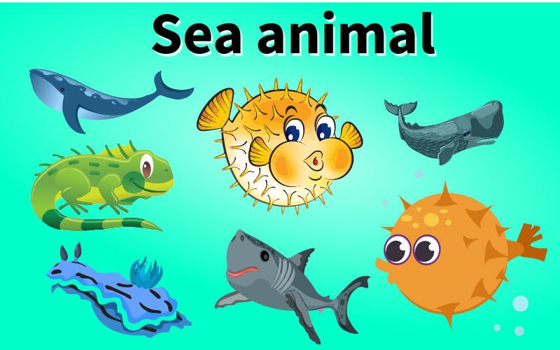 Animales marinos: plantilla limpia de animales marinos lista para usar