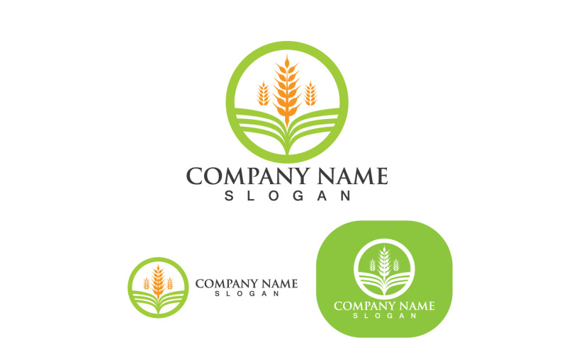 Agricultura Trigo Logo Plantilla Vector Icono Diseño 2