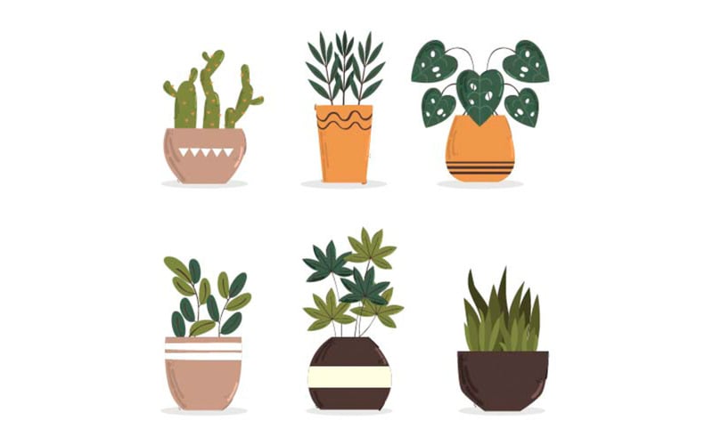 Dekoratif houseplants illüstrasyon seti