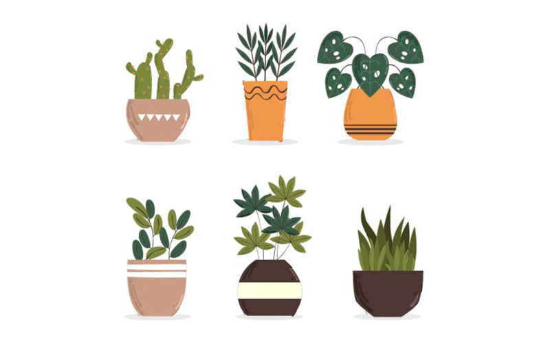 Insieme dell'illustrazione decorativa delle piante d'appartamento